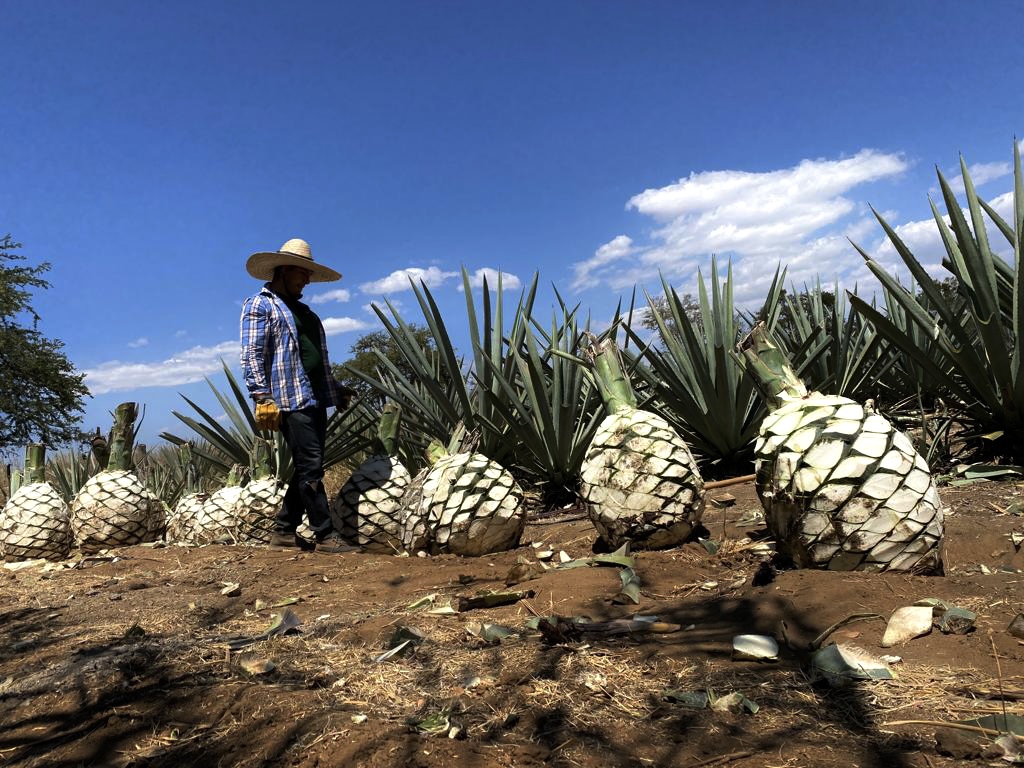 06ff57fc 8d5c 4656 906e D968bf88b6d5