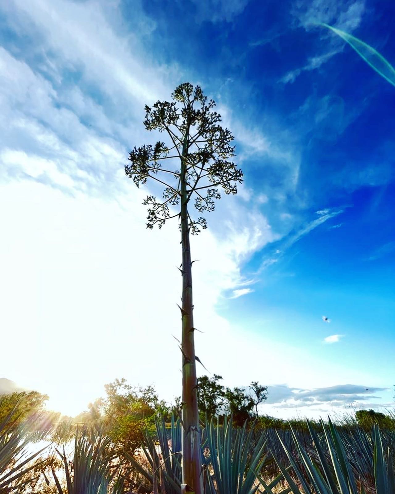 2D31FBB0 8B05 453A 8486 74803AF7F25C