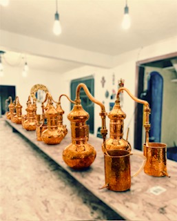 PhotoRoom 20220509 213521